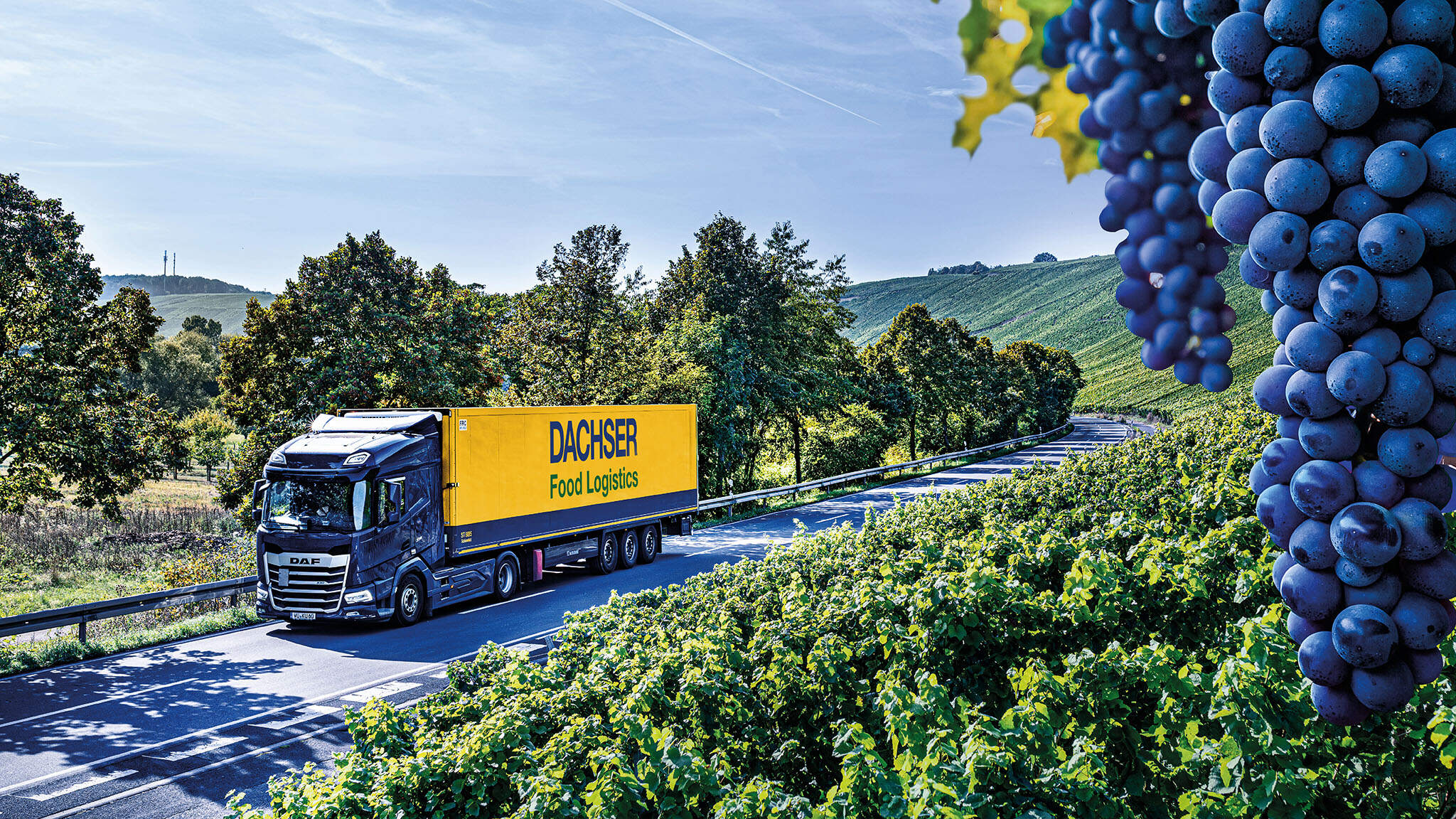 DACHSER will showcase its integrated logistics solutions for the wine and spirits industry at ProWine Shanghai 2026.
 